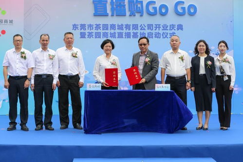 東莞茶山 打響“茶山制造”品牌，邁入電商時代新業態